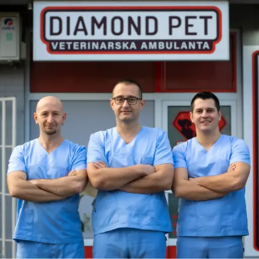 Diamont PET Novi Sad veterinarska ambulanta