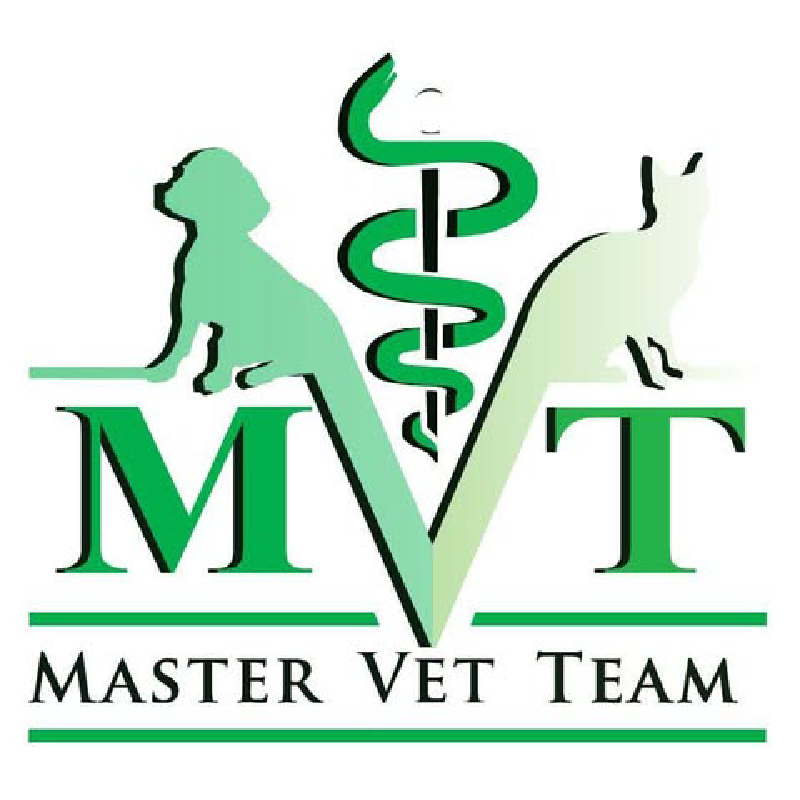 Logo Master Vet Team sa siluetama psa i mačke i veterinarskim simbolom.