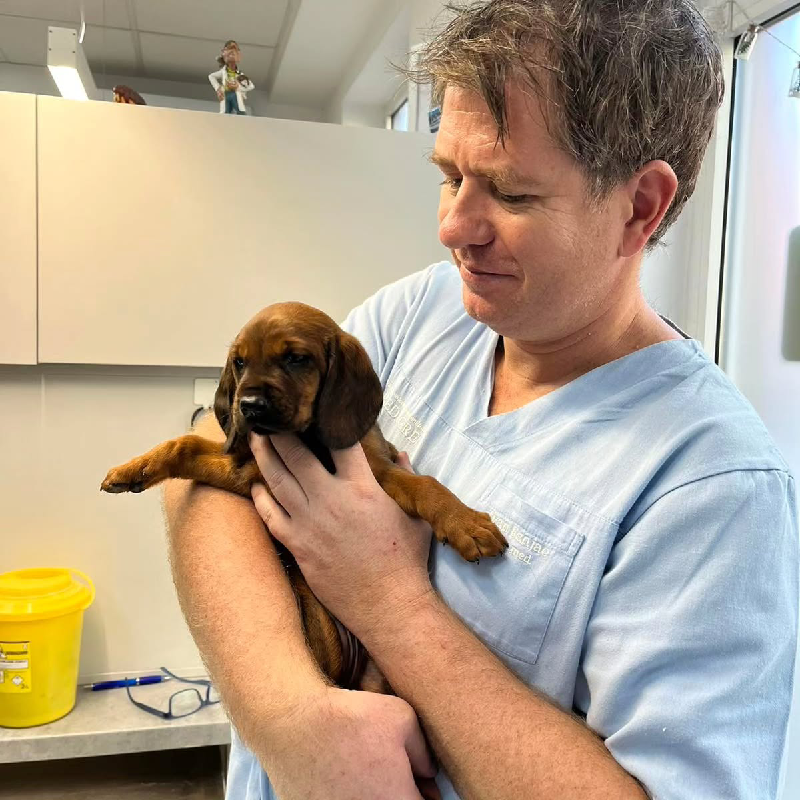 Ivan u svetloplavoj uniformi drži braon štene sa dugim ušima u veterinarskoj ordinaciji.