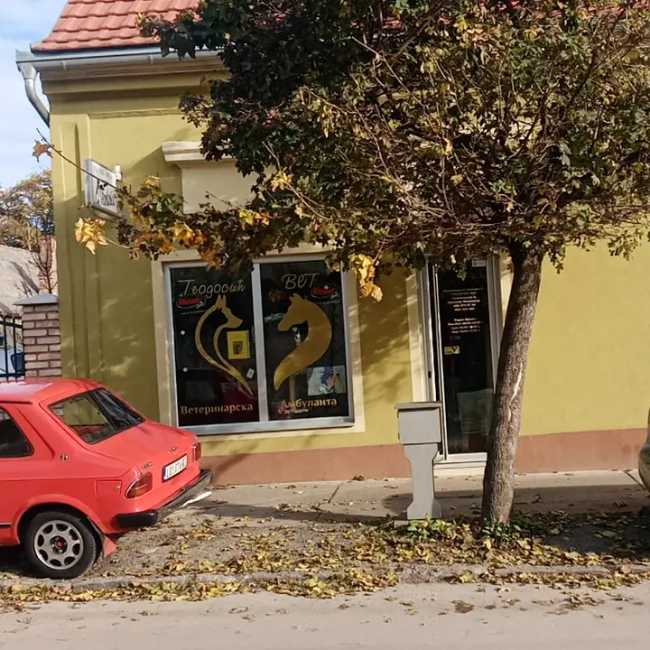Teodosic VET Sremska Mitrovica veterinarska ambulanta