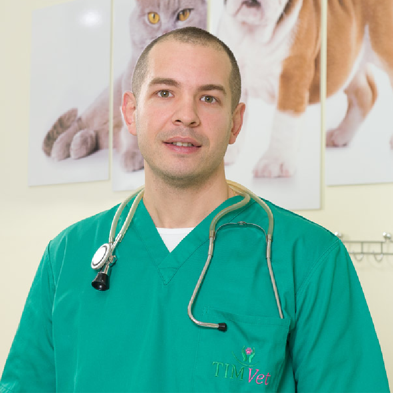 Veterinar u zelenoj uniformi sa stetoskopom oko vrata, stoji ispred slika psa i mačke u veterinarskoj ordinaciji.
