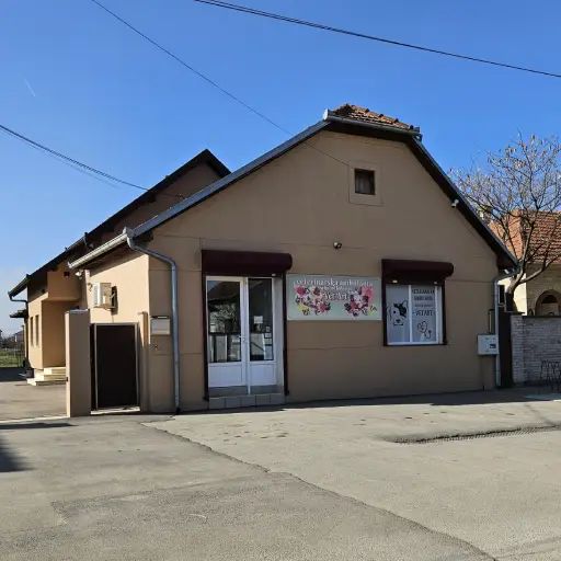 Vet Art Novi Sad (Rumenka)